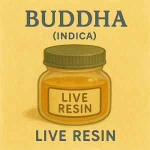 Live Resin - Buddha