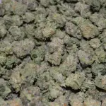 Oreo Cookies Popcorn (Hybrid)