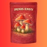 Penis Envy