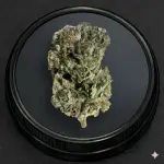 Black Gas (Indica)