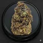 Designer Marker (Hybrid)