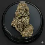 Truffle Cake (Indica-Hybrid)