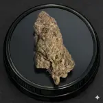 White Monkey (Hybrid/Indica)