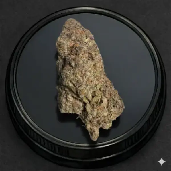 White Monkey (Hybrid/Indica)